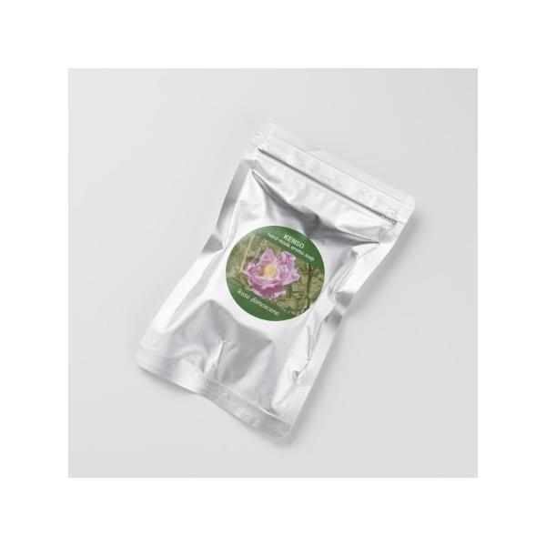 A}΂ [Y\[v 50g A}OZ\[v ϐ΂ VR̃I[KjbNAx[XɂA}ΌłB w KENSO P\[