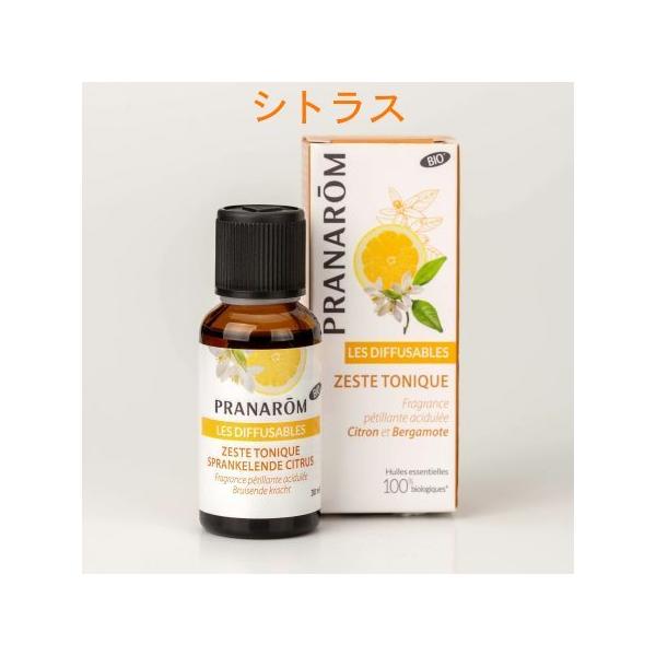 viyKiz VgX 30ml 02586 GAtbVi[ F P^Cv  GbZVIC I[KjbN PRANAROM [R