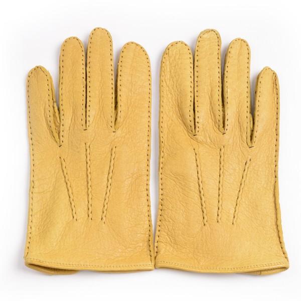 fcY DENTS ppBybJ[U[O[uiv܁AĂ̒؉ȁjRNiCG[j AEgV[ m[CjO