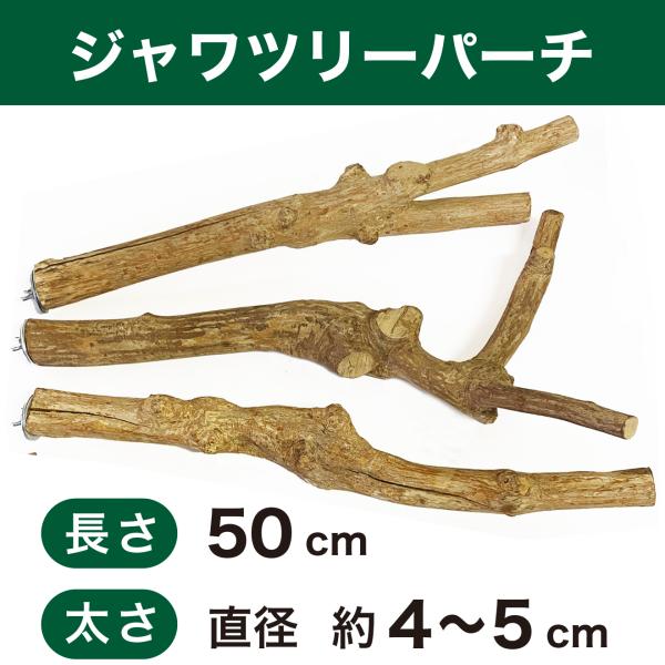 パーチ 止まり木 ジャワツリーパーチ 長さ50cm 太さ4〜5cm
