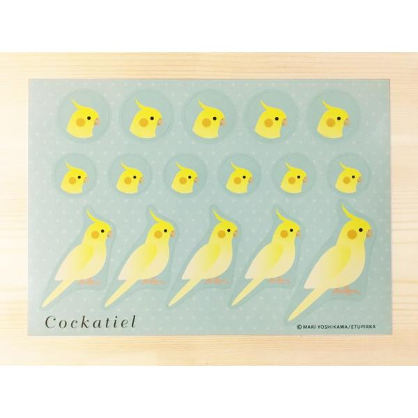 ★えとぴりかオリジナルデザインシール★他にはないマニアックなラインナップ!(^^)!鳥種:オカメインコサイズ:148mm×105mm　ハガキサイズ！用途は様々！お手紙やラッピング！手帳にも！使い方はあなた次第(*^^*)
