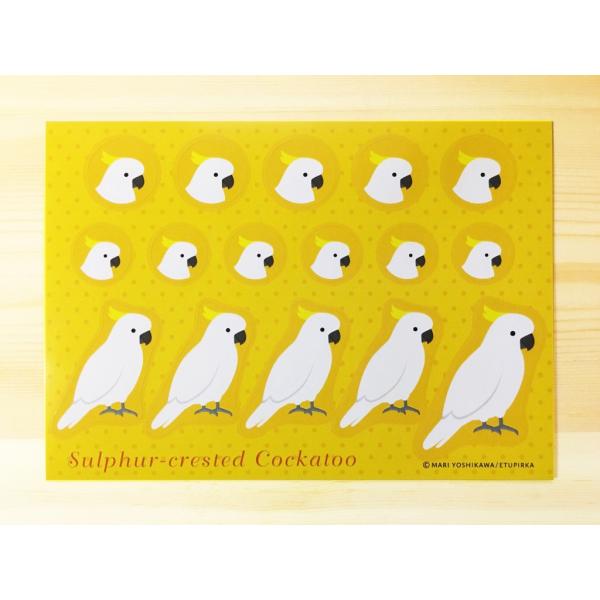 えとぴりかオリジナルデザインシール★他にはないマニアックなラインナップ!(^^)!鳥種:キバタンサイズ:148mm×105mm　ハガキサイズ！用途は様々！お手紙やラッピング！手帳にも！使い方はあなた次第(*^^*)