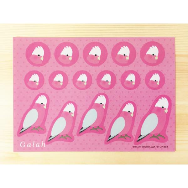 えとぴりかオリジナルデザインシール★他にはないマニアックなラインナップ!(^^)!鳥種:モモイロインコサイズ:148mm×105mm　ハガキサイズ！用途は様々！お手紙やラッピング！手帳にも！使い方はあなた次第(*^^*)