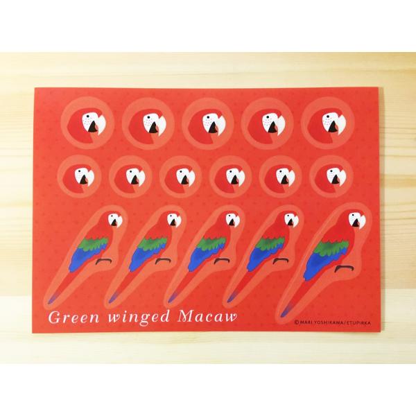 えとぴりかオリジナルデザインシール★他にはないマニアックなラインナップ!(^^)!鳥種:ベニコンゴウインコサイズ:148mm×105mm　ハガキサイズ！用途は様々！お手紙やラッピング！手帳にも！使い方はあなた次第(*^^*)