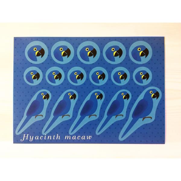 えとぴりかオリジナルデザインシール★他にはないマニアックなラインナップ!(^^)!鳥種:スミレコンゴウインコサイズ:148mm×105mm　ハガキサイズ！用途は様々！お手紙やラッピング！手帳にも！使い方はあなた次第(*^^*)