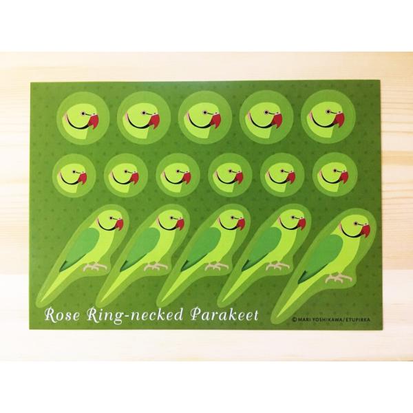 えとぴりかオリジナルデザインシール★他にはないマニアックなラインナップ!(^^)!鳥種:ワカケホンセイインコサイズ:148mm×105mm　ハガキサイズ！用途は様々！お手紙やラッピング！手帳にも！使い方はあなた次第(*^^*)
