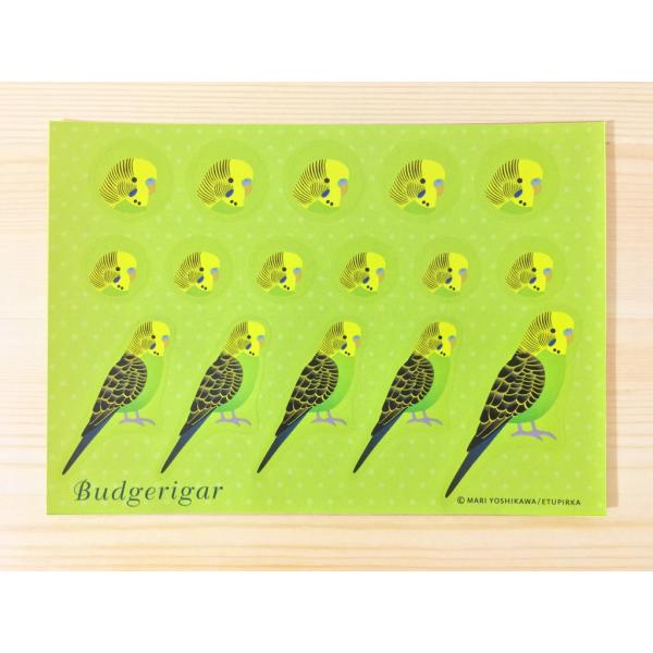 えとぴりかオリジナルデザインシール★他にはないマニアックなラインナップ!(^^)!鳥種:セキセイインコグリーンサイズ:148mm×105mm　ハガキサイズ！用途は様々！お手紙やラッピング！手帳にも！使い方はあなた次第(*^^*)