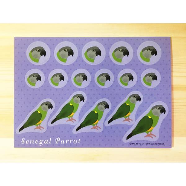 えとぴりかオリジナルデザインシール★他にはないマニアックなラインナップ!(^^)!鳥種:ネズミガシラハネナガインコサイズ:148mm×105mm　ハガキサイズ！用途は様々！お手紙やラッピング！手帳にも！使い方はあなた次第(*^^*)