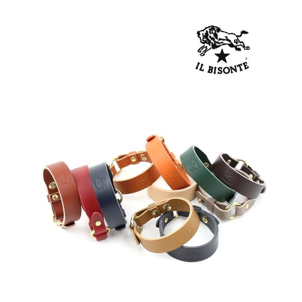 Cr]e uXbg IL BISONTE fB[X Y Ki [։\3