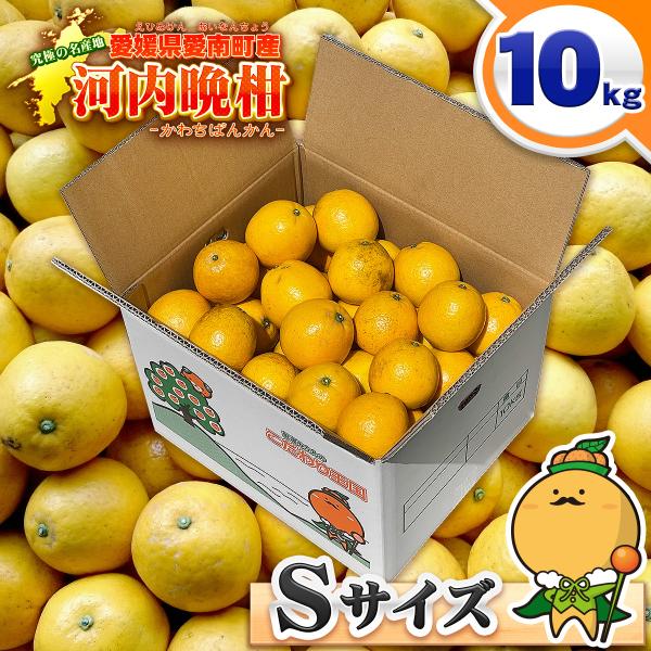 愛媛県産河内晩柑小玉20kg 樹齢20年以上 河内晩柑 小玉 Sサイズ ご家庭用 10kg 小粒 の