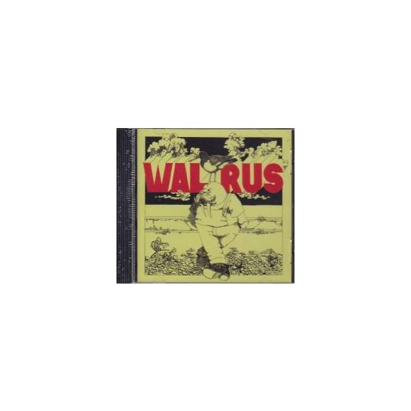walrus　CD 3枚セット walrus CD 3枚セット