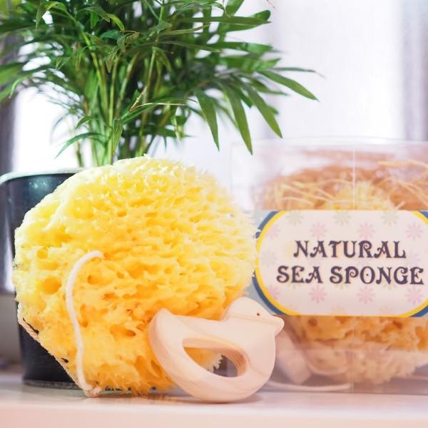 C^A i`V[X|W oXZbg qmL̃g Ђ悱 CȃX|W ~ 100%VRfނ̊CȃX|WƍY؍ޞw̃oXZbg łB