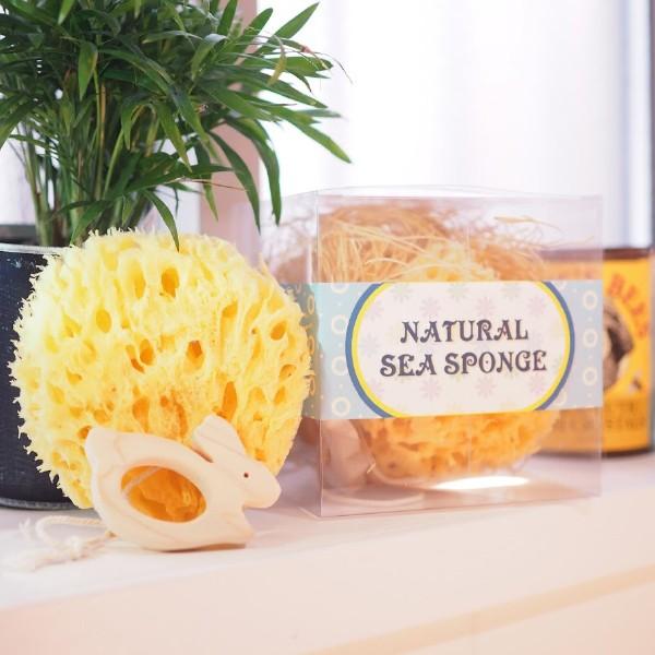 C^A i`V[X|W oXZbg qmL̃g  CȃX|W ~ 100%VRfނ̊CȃX|WƍY؍ޞw̃oXZbg łB