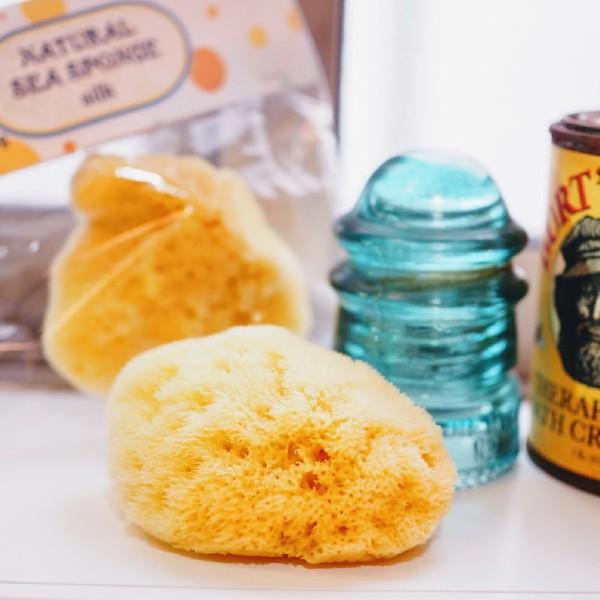 C^A i`V[X|W VN CȃX|W ~ j̎qA̎q̏oYjn[to[Xf[ɂ߂́AC^A100%VRfނ̊CȃX|W