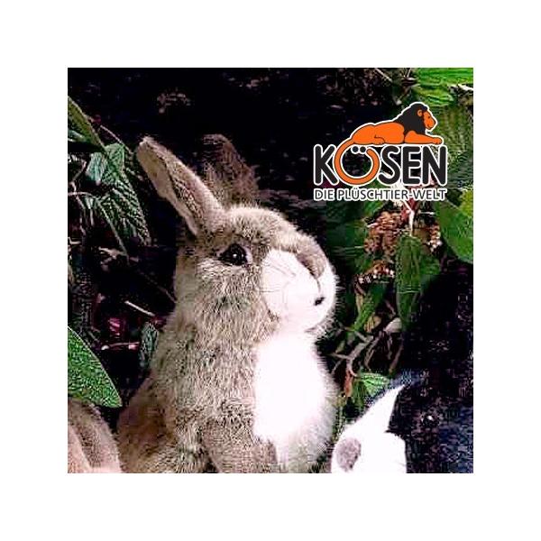 KOESEN P[Z ETM  x[W 3590