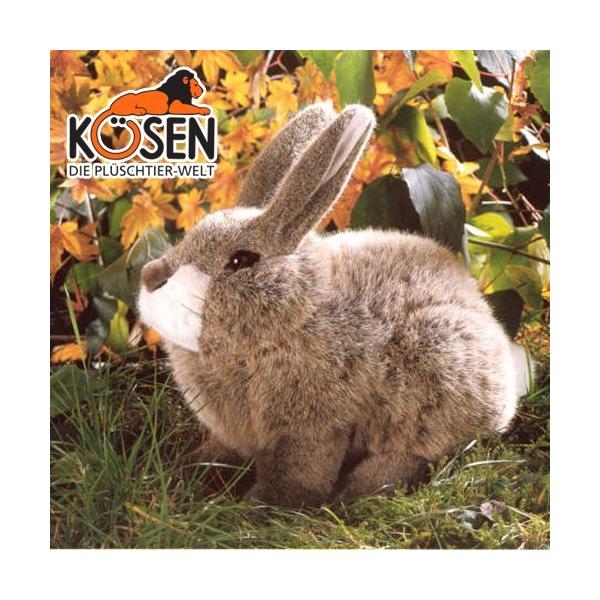 KOESEN P[Z ETM  x[W 3580