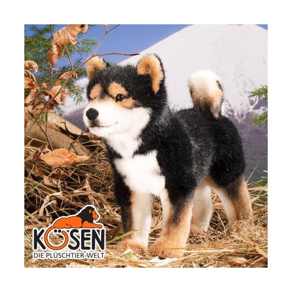 KOESEN P[Z Č  5751