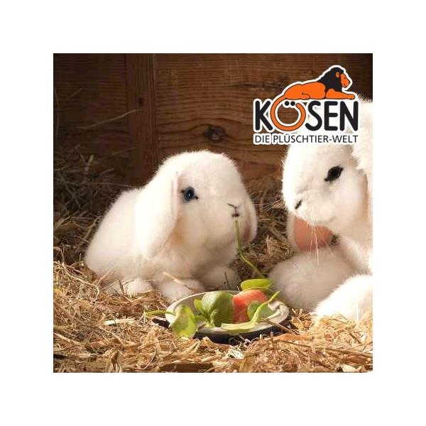 KOESEN P[Z ꎨ̎q  6160