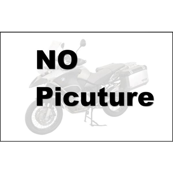 最大64%OFFクーポン Remus レムス マフラー Stainless steel