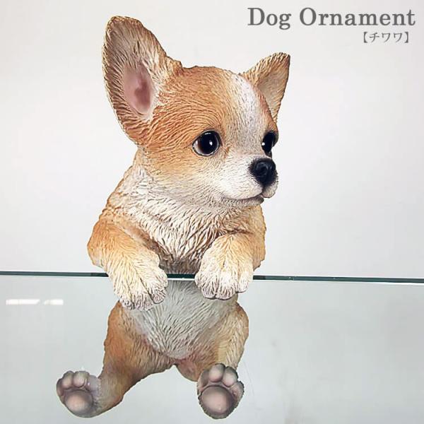 eurohouse-kagu_ts-dog-24 eurohouse-kagu_ts-dog-24