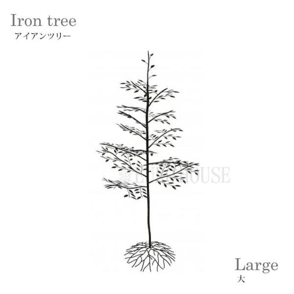 eurohouse-kagu_ts-garden-c13