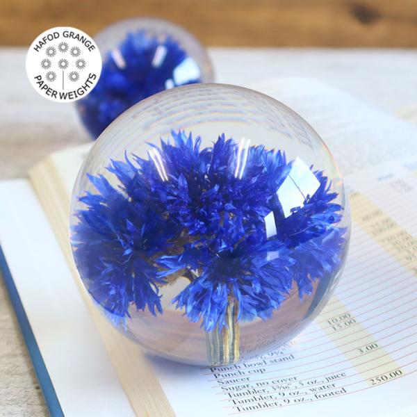 花 文鎮 - その他のインテリア雑貨の人気商品・通販・価格比較 - 価格.com 花 文鎮 - その他のインテリア雑貨の人気商品・通販・価格比較 - 価格.com