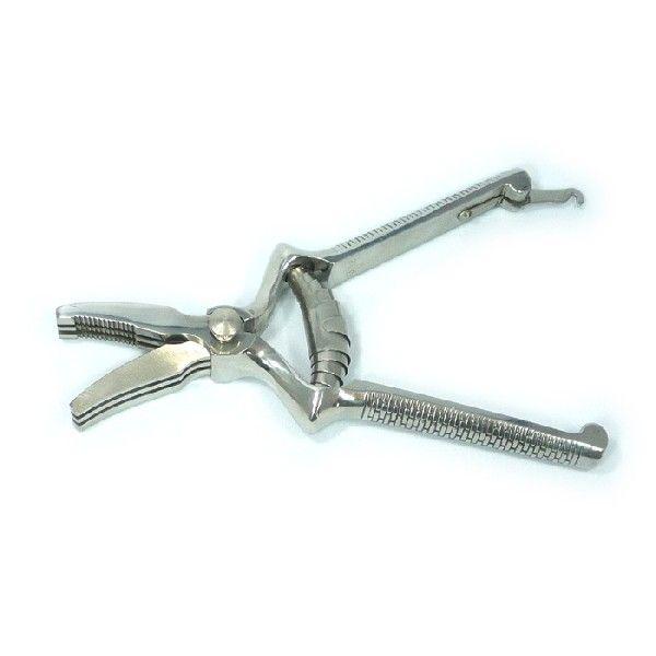 v}bNX@PREMAX@Lb`΂݁@ł~`͂݁@Hp͂݁@ݐHp͂݁@H@𚐍