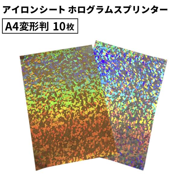 zOXv^[ RHS 195×300mm A4ό`TCY F10 JbeBOpACV[g A4-RHS | LL ڗ ߑ  |GXe AC