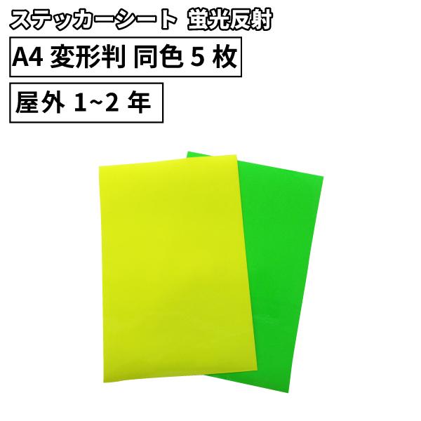 u SRF 195×300mm A4ό` F5 JbeBOpXebJ[V[g A4-SRF | O Ŕ  W   XebJ[ V[g XebJ[V[