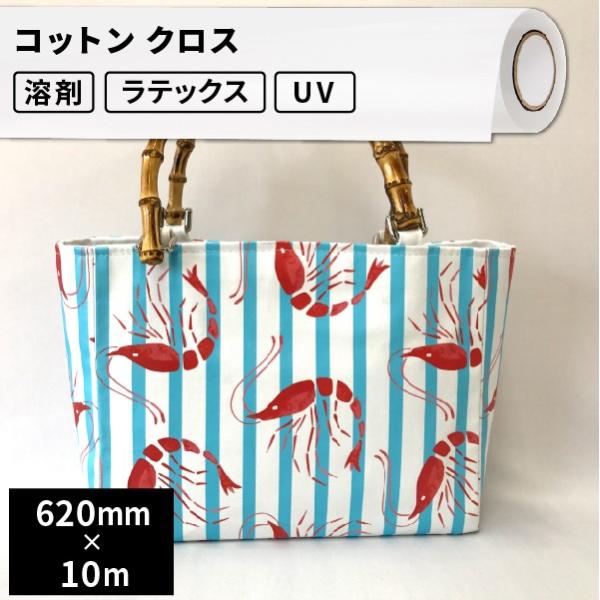 CNWFbgfBA p RbgNX 620mm×10m[ SIJ-BG01-H | n܃v^[ v^[v^[ \xg CNWFbgfBA