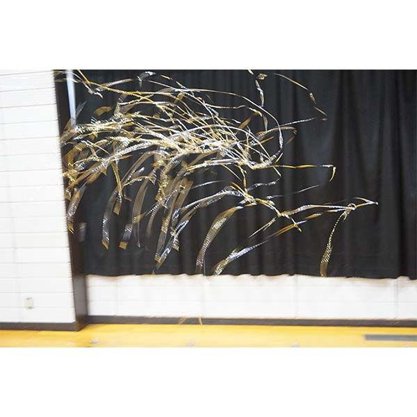 大量に飛び出す 2ｍテープ金銀キラキラテープ ステージシャワークラッカー5本セット No 販促イベント屋 通販 Yahoo ショッピング