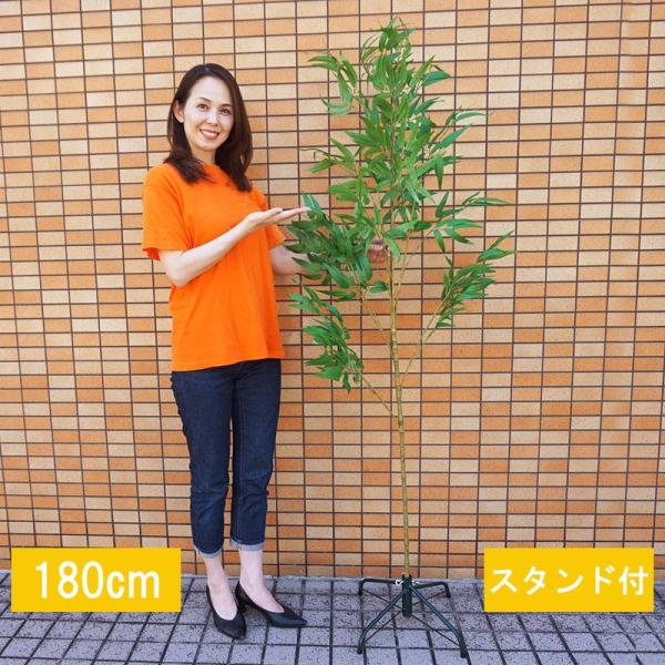 デラックス七夕笹・リアル節竹 180cm(組立式3分割) 4本足スタンド