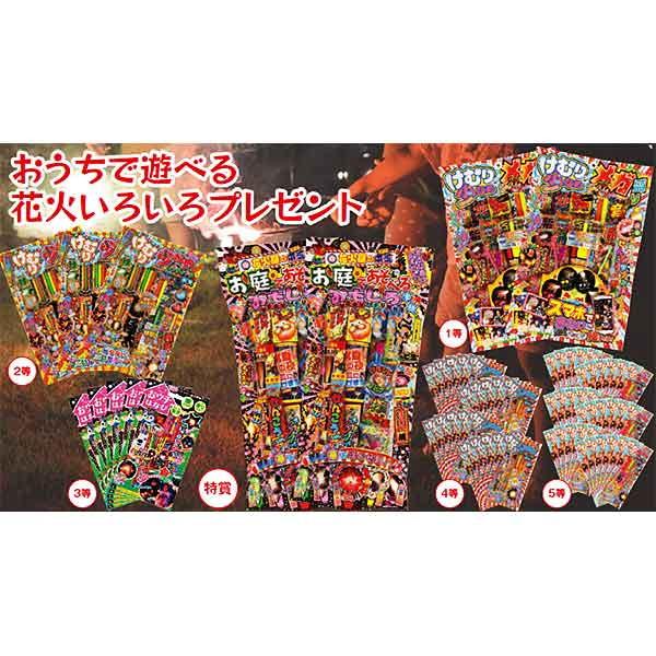 おうち 花 花火の人気商品 通販 価格比較 価格 Com