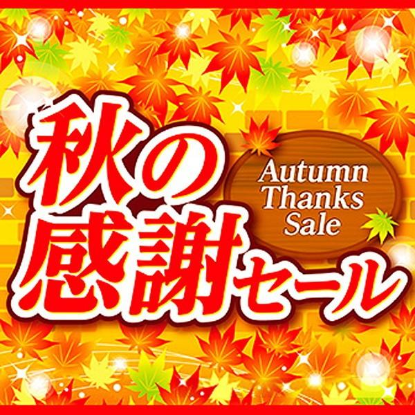 テーマポスター 秋の感謝セール 10枚入 W38cm両面 No 07 販促イベント屋 通販 Yahoo ショッピング