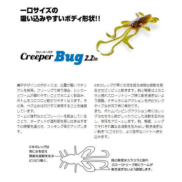 ルアー【選べる3点セット】クリーパーバグ クリーパーバグ 2.2inch 6本入り Creeper Bug Aqua Wave ルアー ワーム ミノー ライトゲーム 釣り 釣り具 送料無料