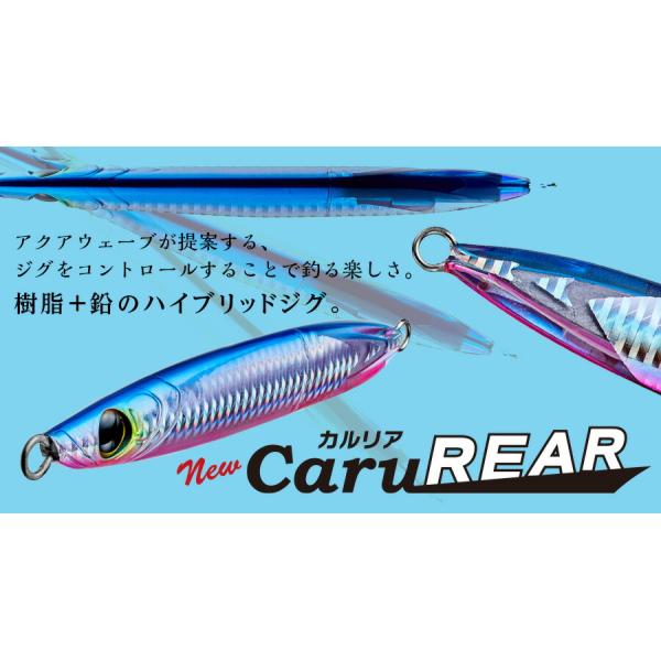 【新商品】【選べる3点セット】カルリア CaruREAR 100g 120g 150g 200g Aqua Wave アクアウェーブ コーモラン プロダクト