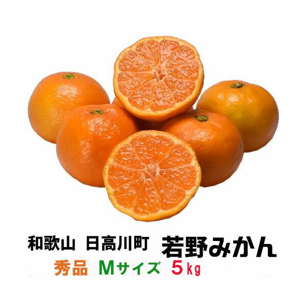（予約）「若野みかん」５ｋｇ・秀品・Mサイズ (味が濃く深みある甘さでリピーター続出)紀州和歌山県日高郡日高川町(旧川辺町)の若野産 温州ミカン