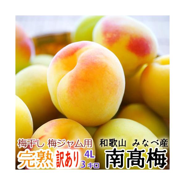 美しい 和歌山県 みなべ産 南高梅 完熟梅 梅干し 3kg 4L サイズ 3