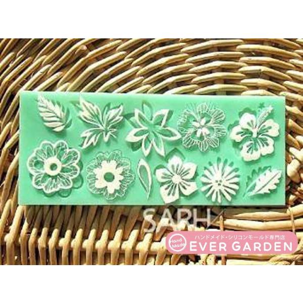 [t [X[h VR[h   Ό  Lh  Sy  W  VR [h