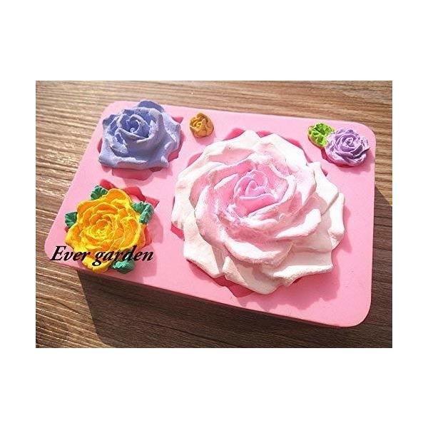 VR[h o 5 KN  VR[h/A}nCXg[ ΍p/ Ό/W/ Sy/^ ^