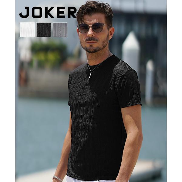 Tシャツ メンズ 半袖 半袖Tシャツ ストライプ クルーネック ピチT ぴったり スリム 細身 タイト 総柄 インナー カットソー 黒 白 夏 夏服 joker ジョーカー
