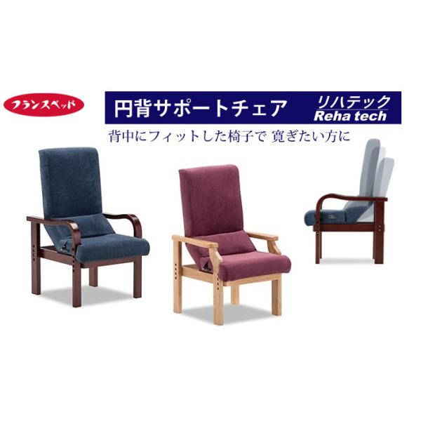 フランスベッド 円背サポートチェア ENN/ENN-02BR/BL(ブルー フランスベッド 円背サポートチェア ENN/ENN-02BR/BL(ブルー