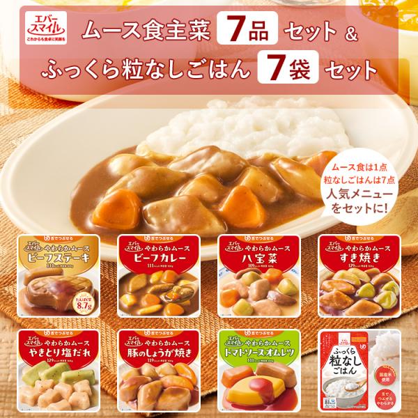エバースマイル 介護食 大和製罐 ムース食 主菜 7品 ＆ ふっくら粒なし