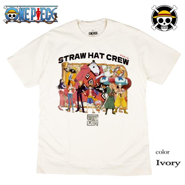 ONE PIECE Tシャツ ワンピース 半袖 ルフィ サンジ ゾロ ナミ ロビン