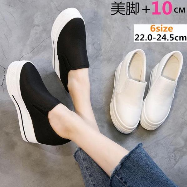 22.0`24.5 Xj[J[ fB[X Cq[ Xj[J[ fB[X JWA Xj[J[ zCg  V[Y JWA