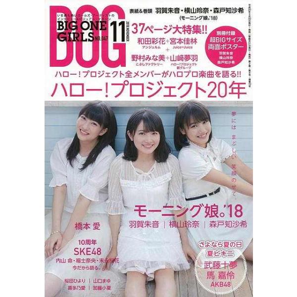 ＢＩＧ ＯＮＥ ＧＩＲＬＳ ＮＯ．４７