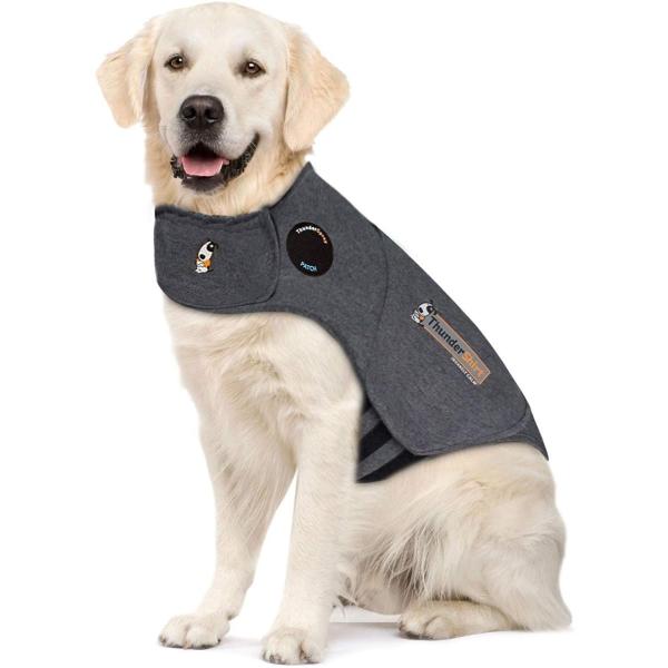 サンダーシャツ クラシック グレー サイズ Xl 激安卸販売新品