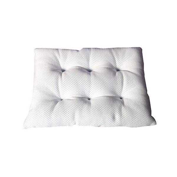 アッピィ マーケット 超クール Wラッセル ふわふわクッション Te M