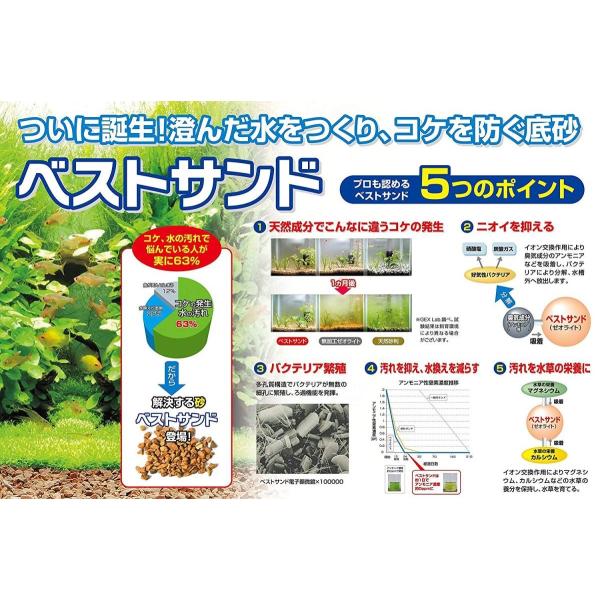 ジェックス ベストサンド3l Archangelbrow Com