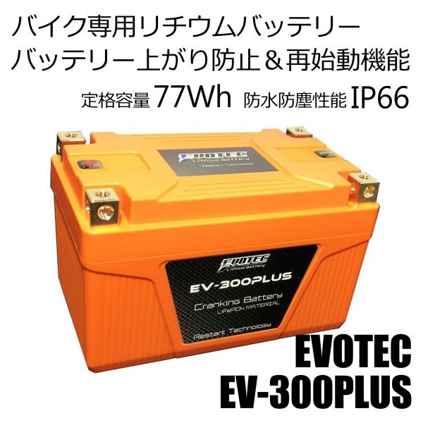 専用になります よろしくお願い致します evotec-directshop_ev-300plus